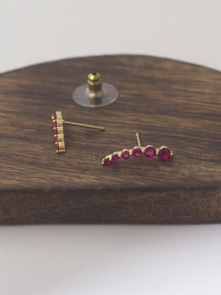Colourful Earrings