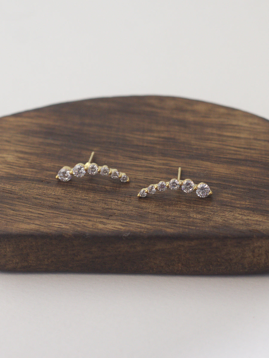Dazzling Earrings