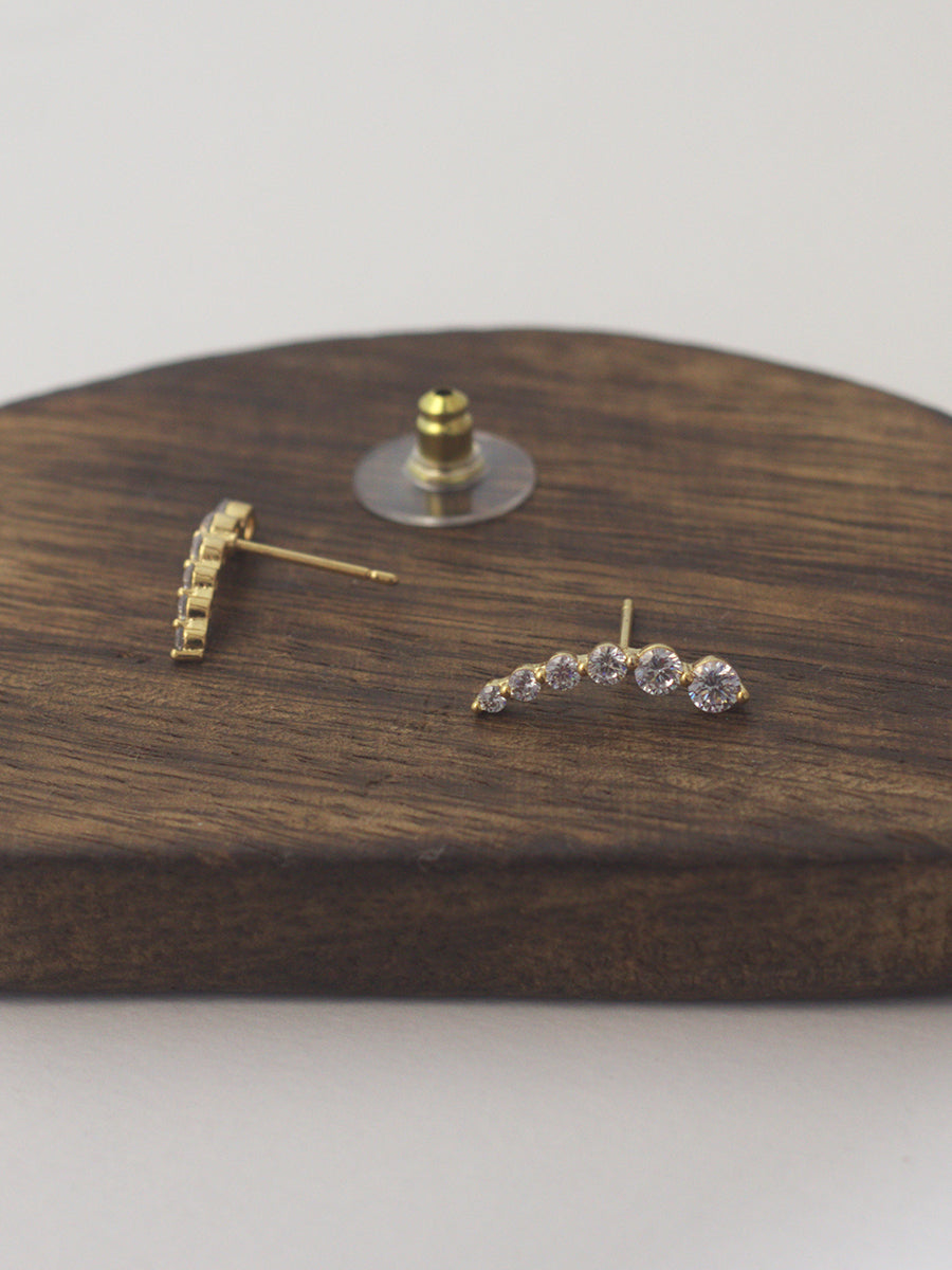 Dazzling Earrings