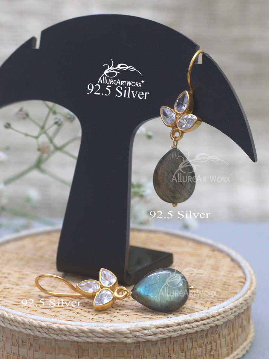 Parnika Silver Hooks