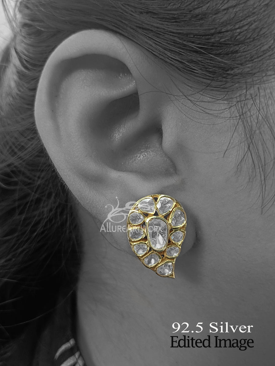 Peizli Silver Earrings