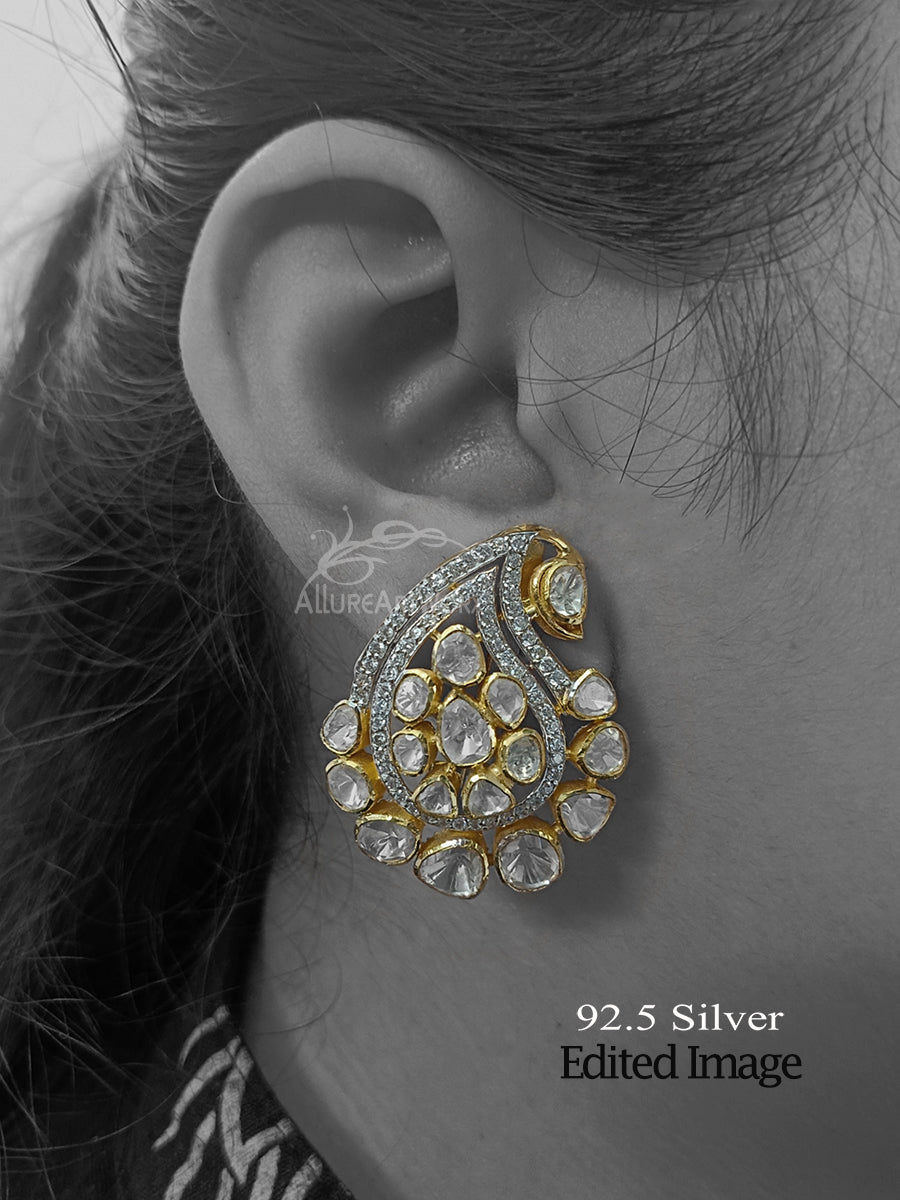 Peizli Silver Earrings