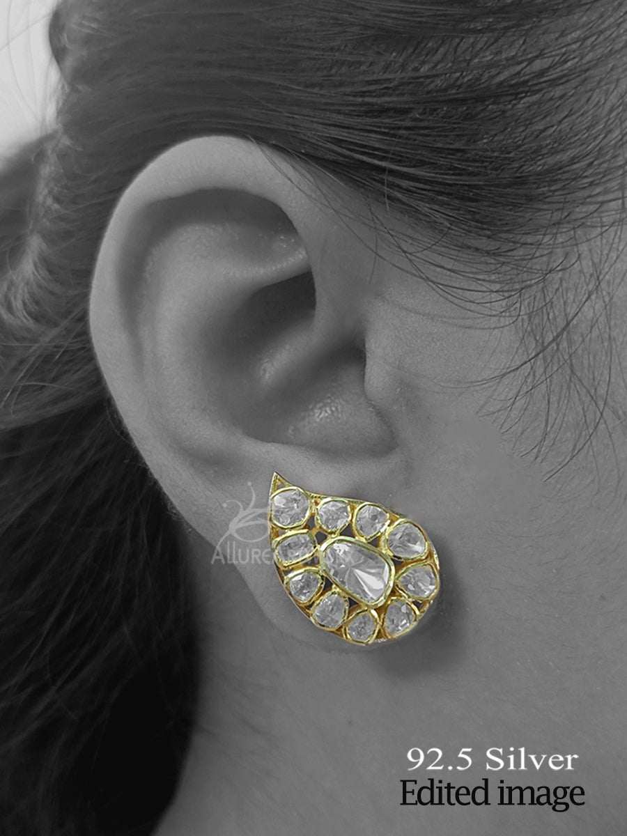 Peizli Silver Earrings