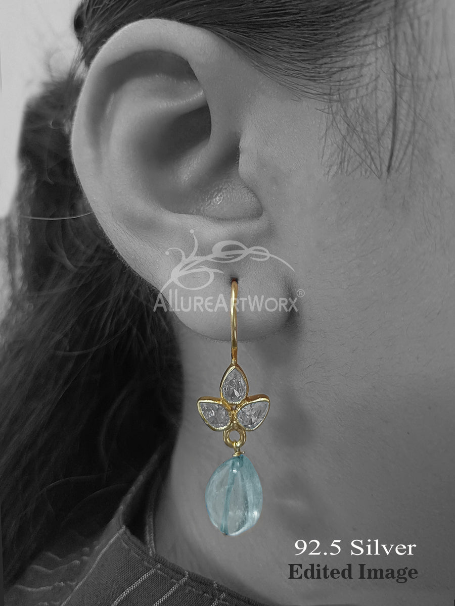 Parnika Silver Hooks