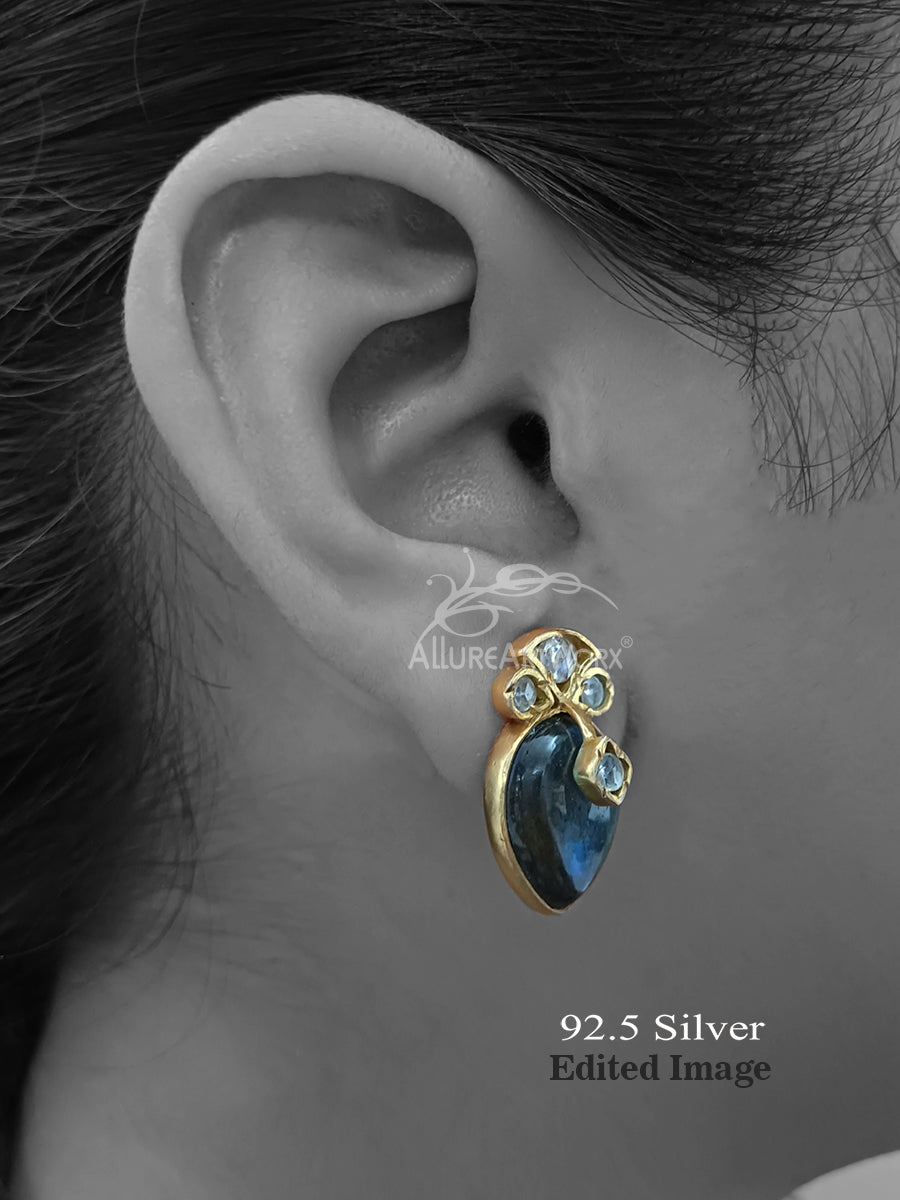 Parnika Silver Earrings