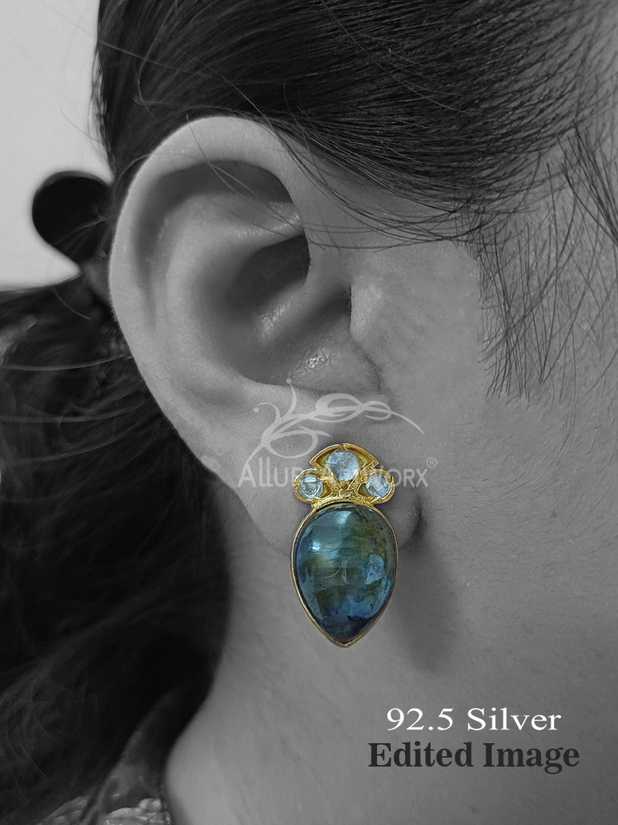 Parnika Silver Earrings