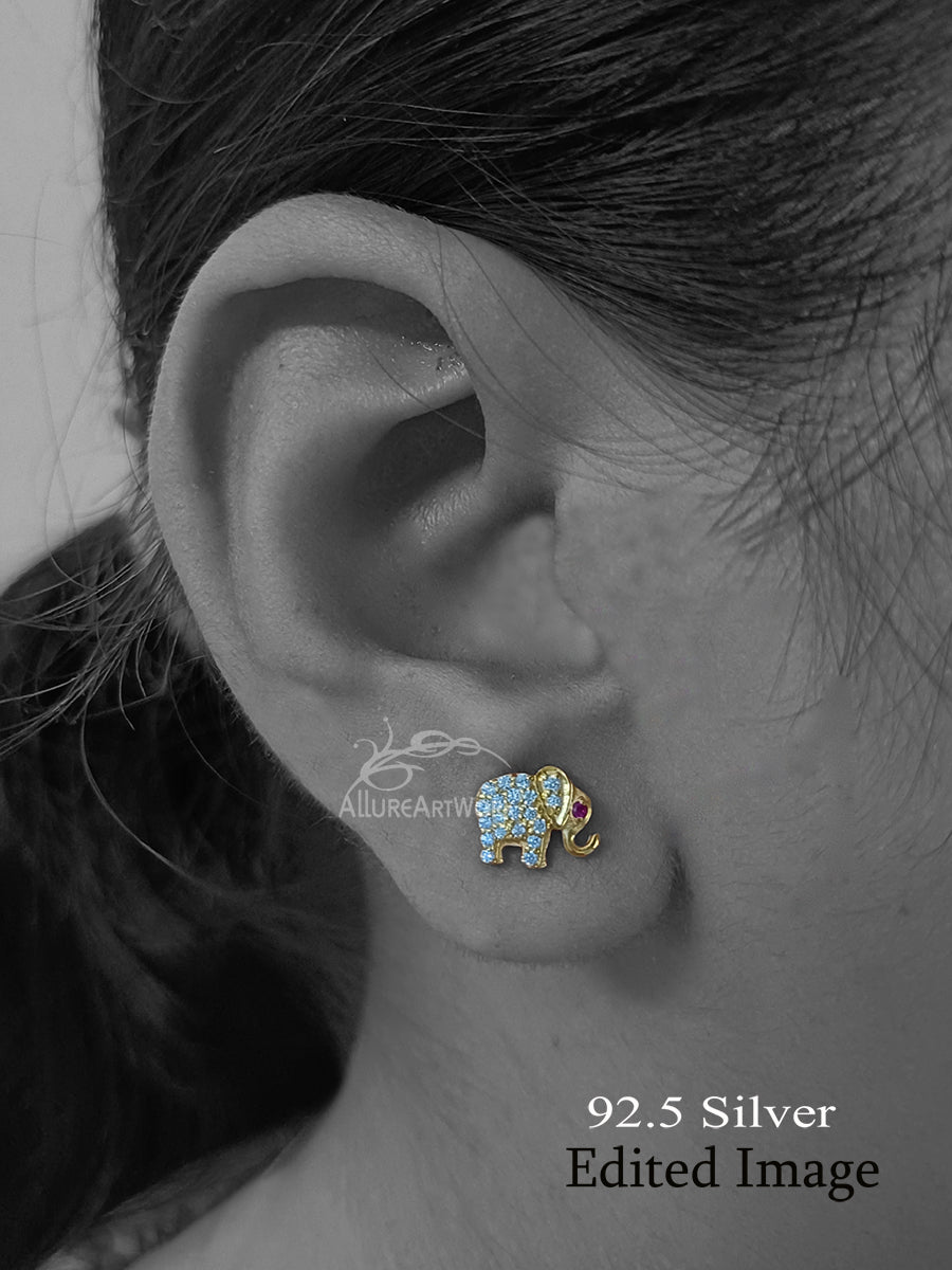 Ibha Silver Earrings(white-small)