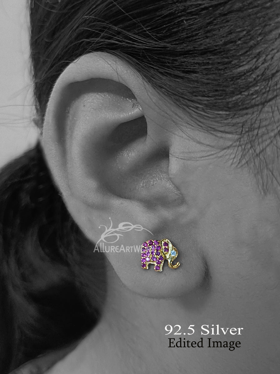 Ibha Silver Earrings(small-darkpink)